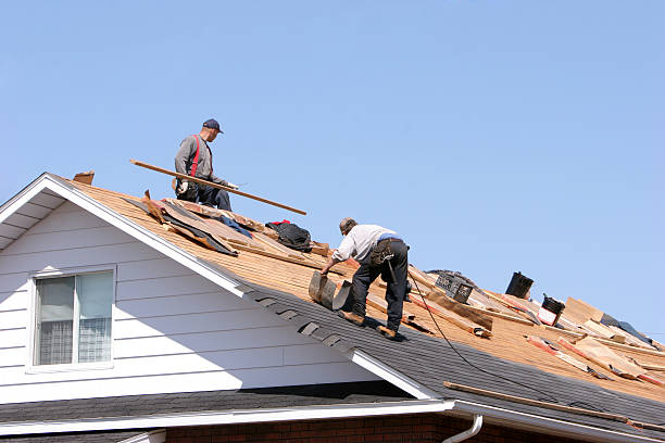 Best Roofing for New Construction  in Spencer, WV
