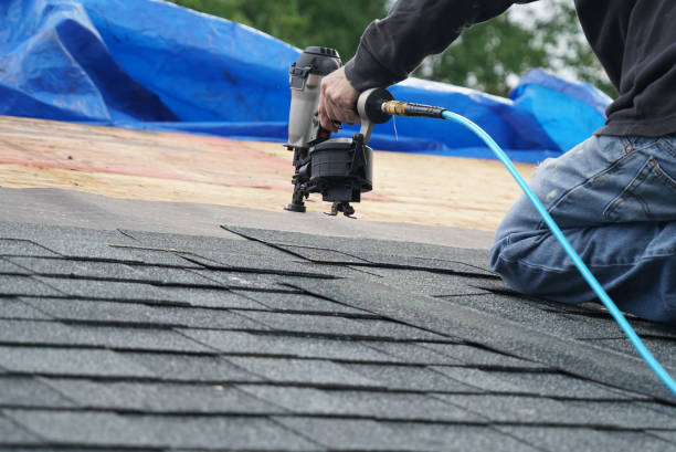 Best Roof Maintenance and Cleaning  in Spencer, WV